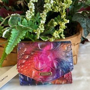 🎄🎄SALE⛄️🎅🏼💟BRAHMIN Multi-Colored 💟AWESTRUCK VERONICA Wallet NWT💟